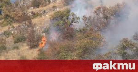 Пожари на сухи треви пламнаха вчера в Пловдивска област и