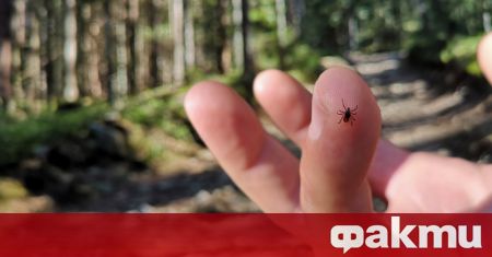 Пролетта и началото на лятото е времето в което влажността