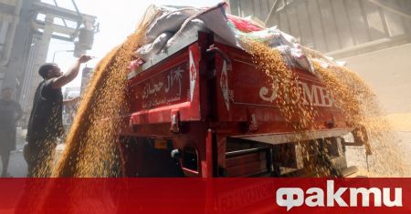 Египет получи 63 000 тона пшеница от Франция съобщи в