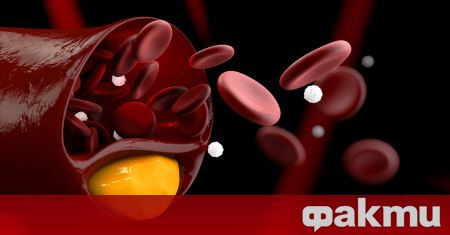 Кивито е богато на витамини особено А В С както