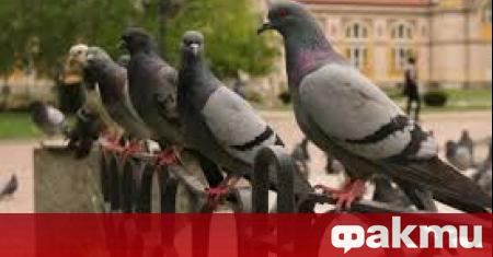 Над западната половина от страната ще започне да се развива