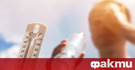 Между май 2024 г и май 2025 г над 4