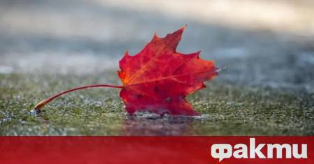 През нощта ще остане облачно и мъгливо в крайните западни