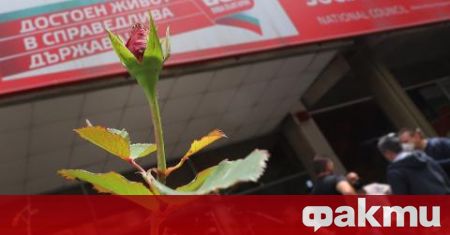 В редиците на БСП тече трескава подготовка за 50 тия партиен