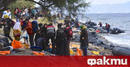 Сцена като от екшън филм се разигра на претъпкан плаж