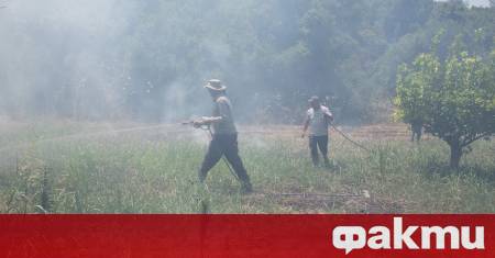 Общо 55 горски пожара са възникнали в Турция през последното