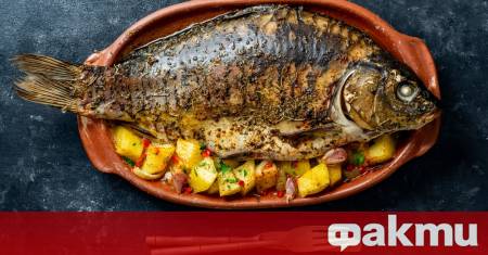 Рибата е сред най популярните и предпочитани храни в света