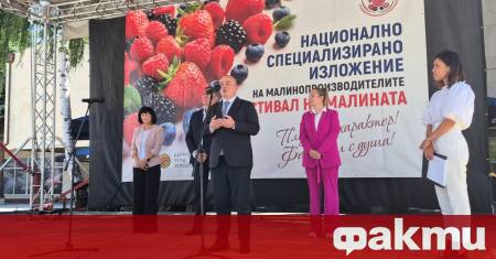 Българското малинопроизводство бележи сериозни успехи благодарение на дългогодишната работа на
