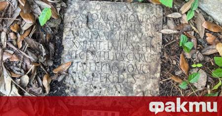 Необичайна археологическа находка изненада семейство от Ню Орлиънс, след като