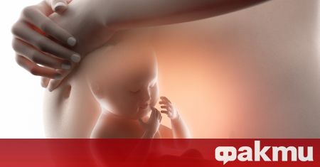 Биолозите потвърдиха че процедурата за зачеване на дете от трима