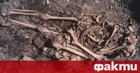 В Айвиде Швеция на остров Готланд бе открит древен гроб