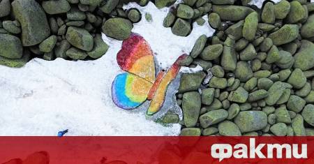 Докато последните снежни преспи на Витоша бавно се топят една
