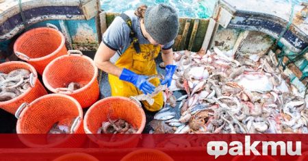 Преговорите за решаване на спора за риболовните права след Брекзит