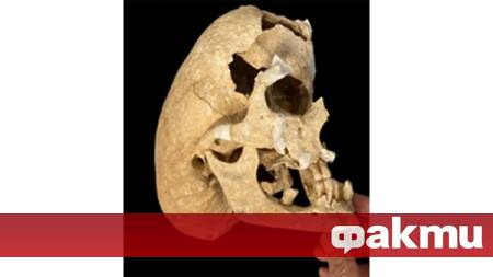 Разкопки в средновековното рицарско гробище на замъка Зорита де лос