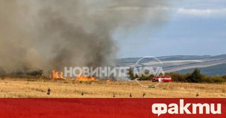 Голям пожар горя във Великотърновско вчера, предаде Нова ТВ. Подпалиха
