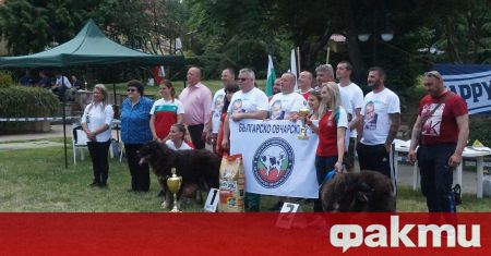 Киноложка изложба на български овчарски кучета се проведе в Банкя.