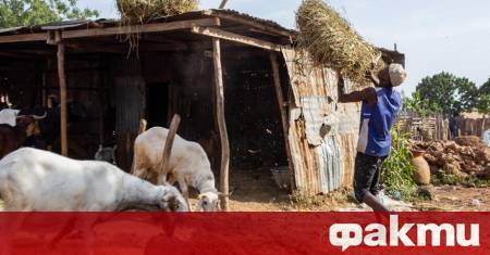 САЩ започнаха да транспортират военни доставки до североизточна Нигерия където