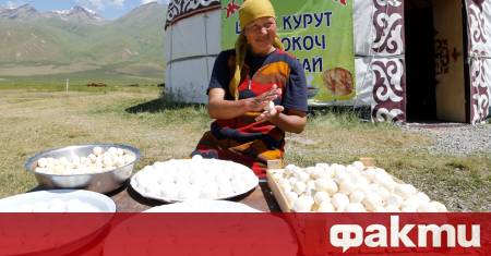 Казахстан стана основен вносител на руски млечни продукти в стойностно