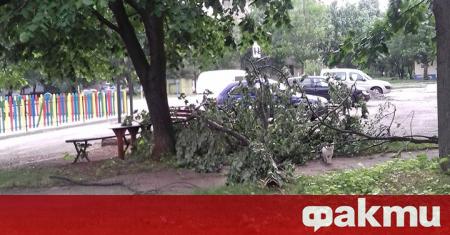 Във Враца разчистват щетите след ураганен вятър който тази нощ