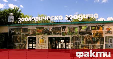 ебе от критично застрашения вид антилопа адакс отново се роди