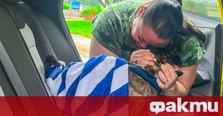 В щата Тексас САЩ семейство се събра отново с кучето