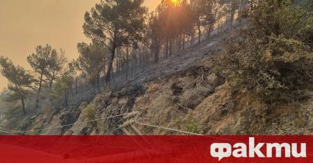 Гръцките противопожарни служби са се борили с над 80 пожара