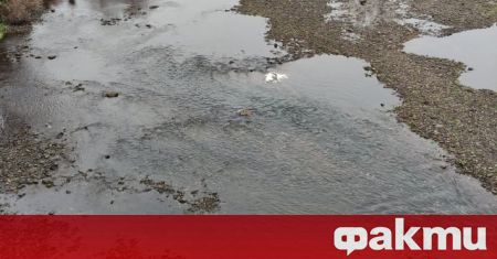 Река Тополница край Пазарджик е пресъхнала, алармираха от риболовен клуб