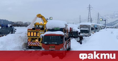 Най малко осем души загинаха в резултат на снеговалежите в района