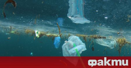 Междуведомствена група ще обсъди ограничаване на употребата на някои пластмасови