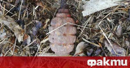 Ръчна граната тип лимонка вдигна на крак полицията във Варна