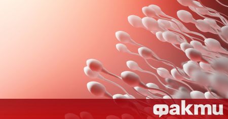 Тревожният темп на намаляване на броя на сперматозоидите при мъжете