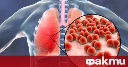 Водещи руски специалисти разработиха инновационна технология позволяваща доставяне на антибиотични