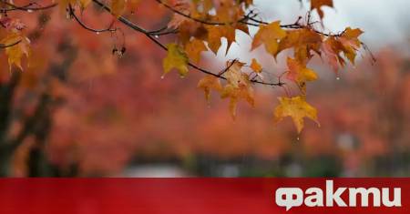 Минималните температури днес ще са предимно над нулата в София