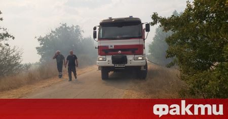 Възрастен мъж загина при пожар в село Шейново предаде Дарик
