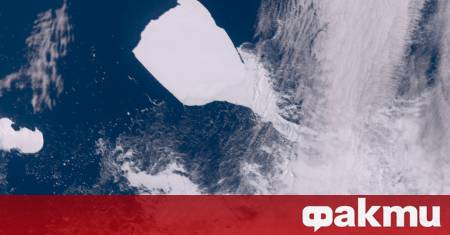 Площта на най големия айсберг в света A23a се е свила