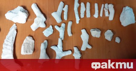 Парчета от корали задържаха митнически служители от ТД Митница София