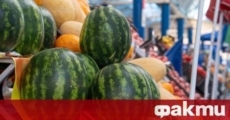 Как да изберем перфектния плод Изборът на пазара често изглежда