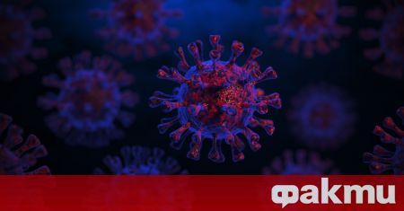 В последните 24 часа в Хърватия с КОВИД 19 са заразени