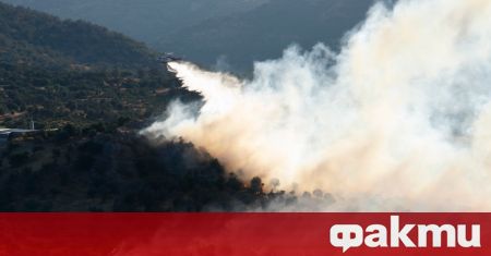 Няколко хиляди пожарникари се борят с горските пожари в Португалия,