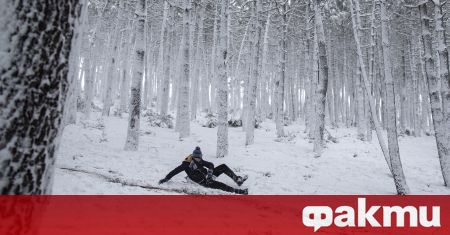Големи студове бяха регистрирани в някои региони на Турция съобщи