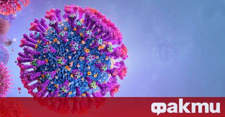 Броят на потвърдените случаи на коронавирус в света се е