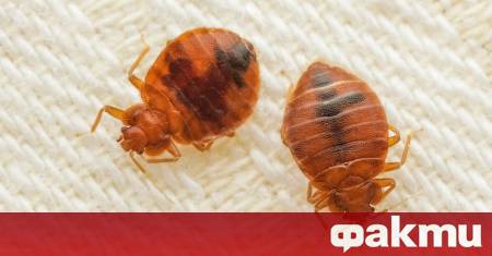 Зрителите в едно от най известните кина в Париж преживяха неочакван