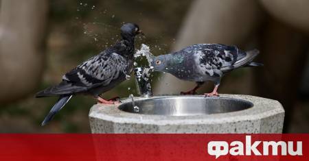 Водата подавана от водопроводната мрежа на град Плевен отговаря на