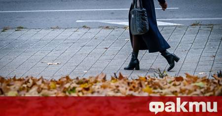 Над 93 хил кв метра тротоари са обновени в София