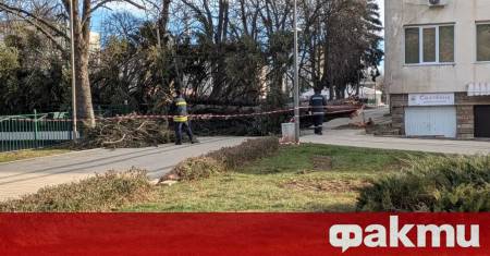 На над 15 сигнала свързани с аварии причинени от силния