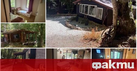 Общински служители отдават незаконна вила за 120 евро на вечер, регистрирана като пчелин