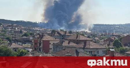 Голям пожар гори над Харманли Огънят е тръгнал от борса