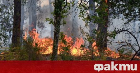 Овладян е пожарът между ямболските села Вълча поляна и Голям
