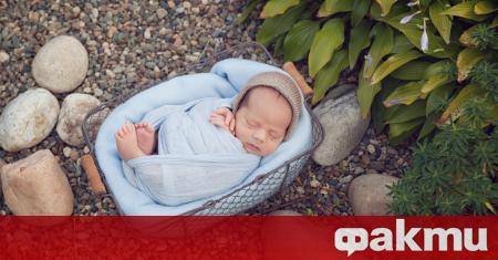 Новородено момиченце бе изоставено до контейнерите за боклук от родителите