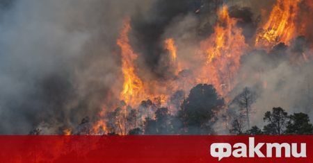 Близо 500 огнеборци се борят с горски пожари избухнали в